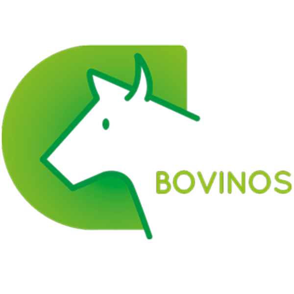 Bovinos Alto Rendimento