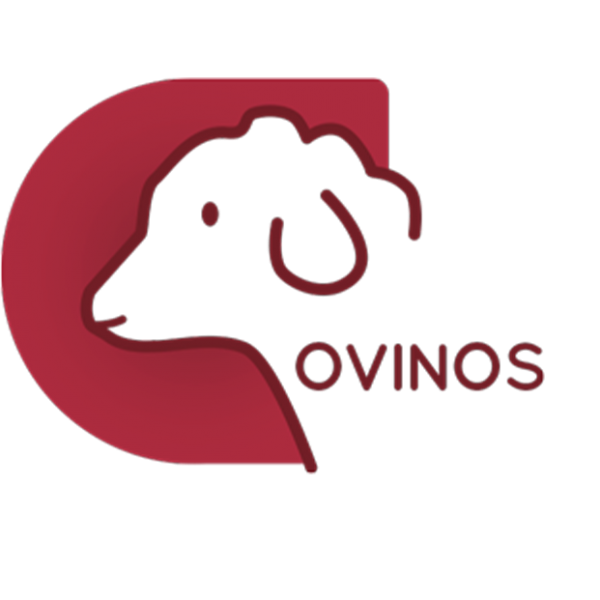 Ovinos Alto Rendimento